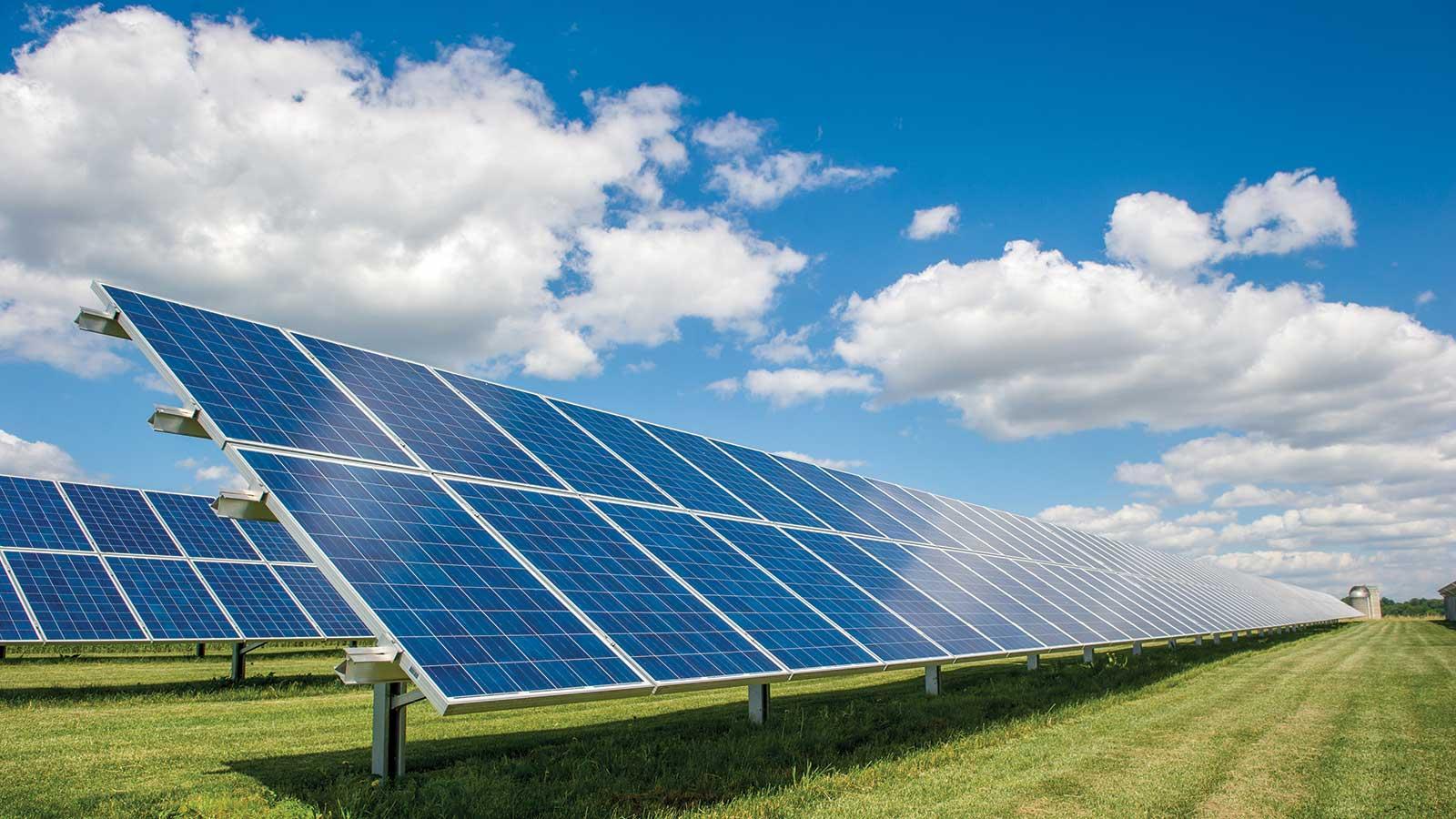 Solar panels on agricultural land