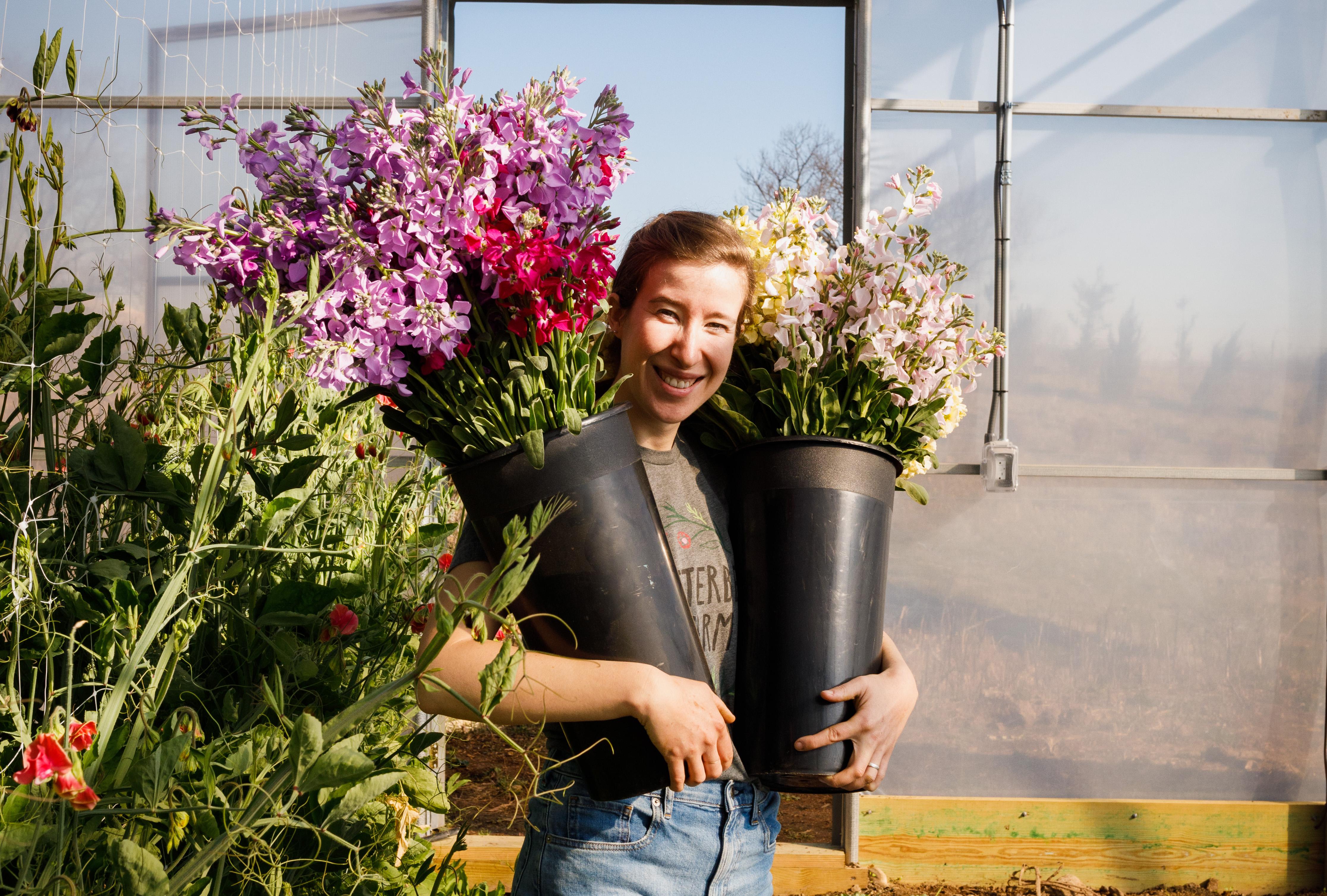 Dissertation extension coronavirus 07 image